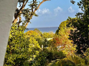 Superbe appartement vue mer